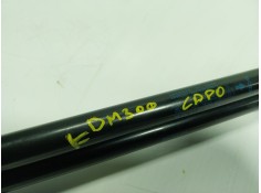 Recambio de amortiguador capot para porsche panamera 2.9 v6 turbo cat referencia OEM IAM  513650250  2