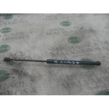 AMORTIGUADORES MALETERO / PORTON 