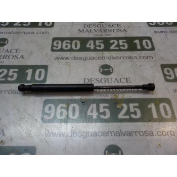 AMORTIGUADORES MALETERO / PORTON 51859320 