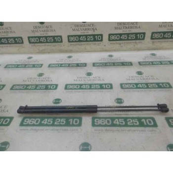 AMORTIGUADORES MALETERO / PORTON 