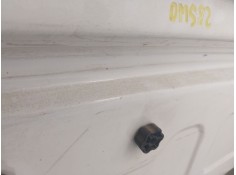 Recambio de puerta trasera izquierda para ford tourneo connect (tc7) 1.8 tdci cat referencia OEM IAM    2