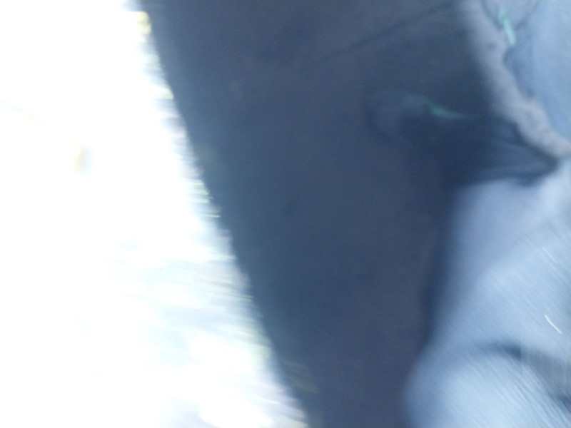 Recambio de modulo electronico para audi q4 e-tron aq4e f4bac3 referencia OEM IAM  83A905217 