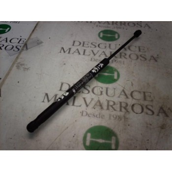 AMORTIGUADORES MALETERO / PORTON 