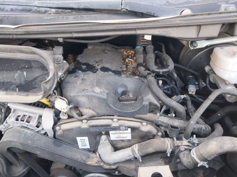 ford transit bus (ttg) del año 2019