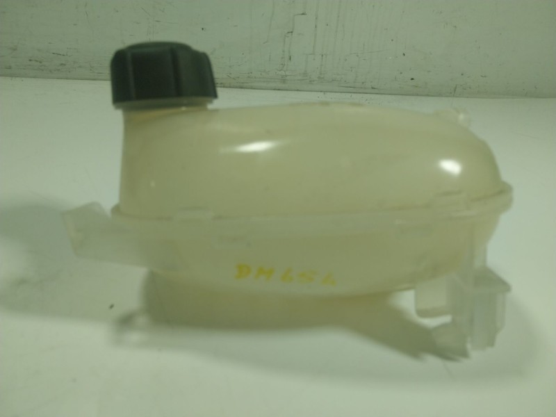 Recambio de deposito expansion para renault captur ii 1.0 tce referencia OEM IAM  217102572R 