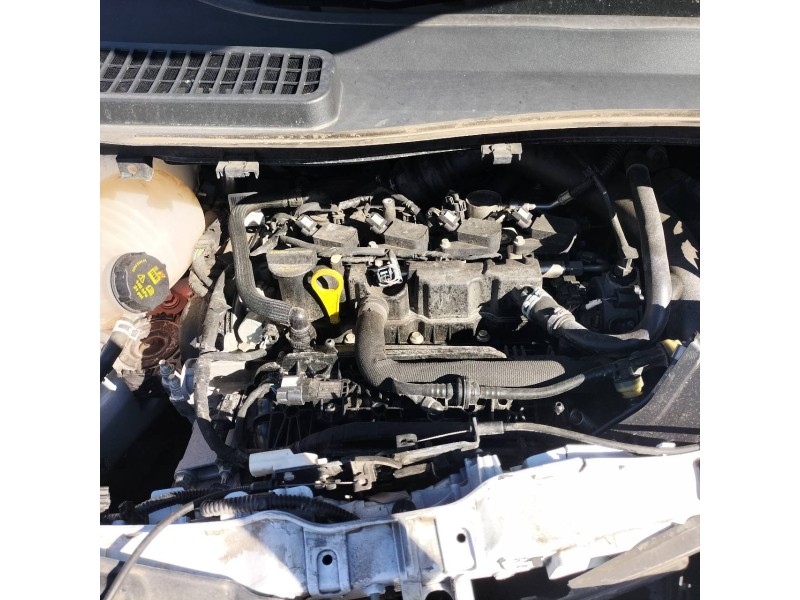 ford kuga del año 2019