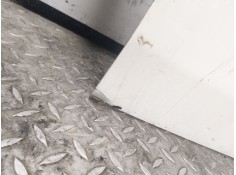 Recambio de puerta delantera derecha para citroën c-zero seduction referencia OEM IAM    2