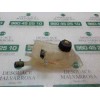 Recambio de deposito expansion para renault megane iii berlina 5 p authentique referencia OEM IAM 217100005R  