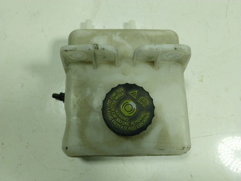 Recambio de deposito servo para renault zoe 68 kw referencia OEM IAM  0204720866 