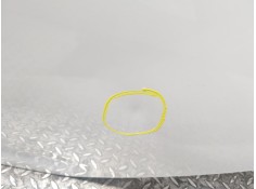 Recambio de puerta trasera izquierda para renault zoe 68 kw referencia OEM IAM    2