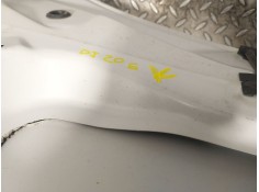 Recambio de capot delantero para renault zoe 68 kw referencia OEM IAM    2