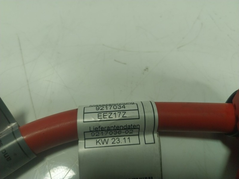 Recambio de modulo electronico para bmw serie 5 lim. (f10) 3.0 turbodiesel referencia OEM IAM  9217034 