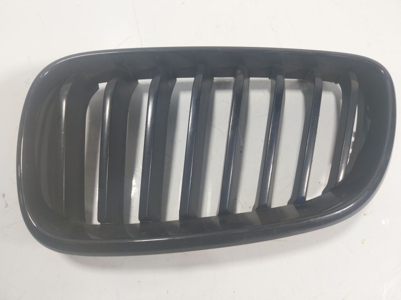 Recambio de rejilla para bmw serie 2 coupe (f22) 3.0 24v scrollturbo cat referencia OEM IAM  7295521 