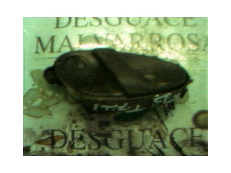 Recambio de maneta interior trasera derecha para citroën xsara berlina 1.9 diesel referencia OEM IAM   