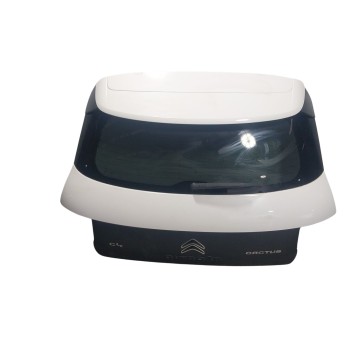 PORTON TRASERO 9800805380 