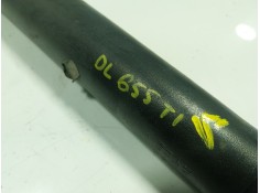 Recambio de amortiguador trasero izquierdo para renault zoe referencia OEM IAM  562108289R  2