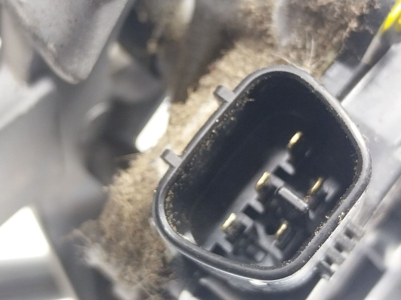 Recambio de motor limpia delantero para lexus ct 1.8 16v cat (híbrido) referencia OEM IAM  8511028250 