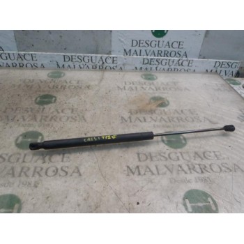 AMORTIGUADORES MALETERO / PORTON 