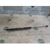 Recambio de amortiguadores maletero / porton para renault megane ii familiar dynamique luxe referencia OEM IAM   