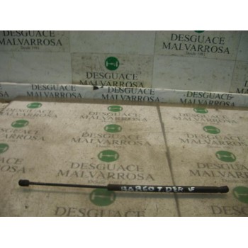 AMORTIGUADORES MALETERO / PORTON 