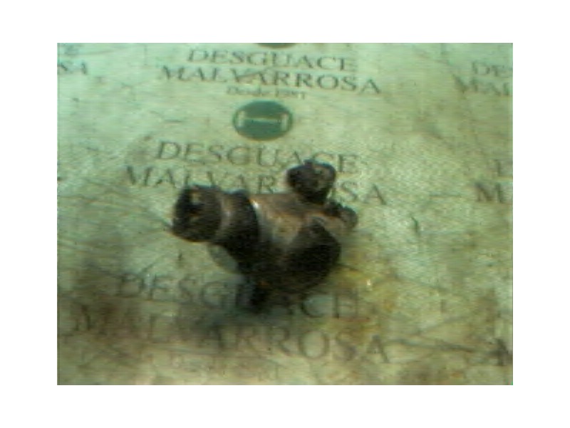 Recambio de termostato para alfa romeo 156 1.6 16v cat referencia OEM IAM   