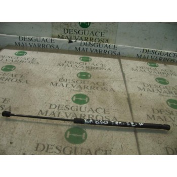 AMORTIGUADORES MALETERO / PORTON 