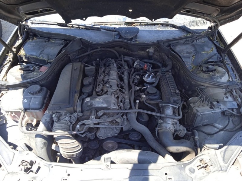 mercedes-benz clase clk (w209) coupe del año 2005