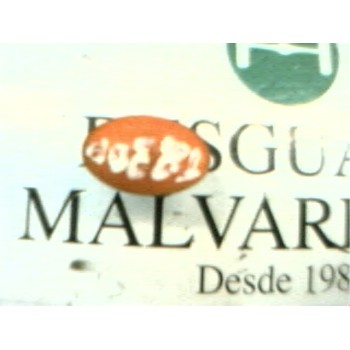 PILOTO LATERAL DERECHO 