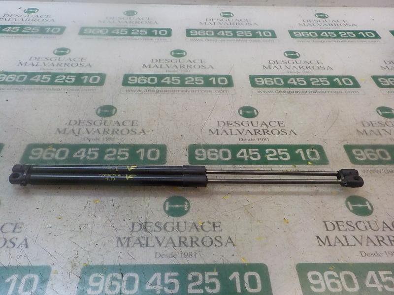 Recambio de amortiguadores maletero / porton para ford fiesta (ccn) trend referencia OEM IAM 1666068  
