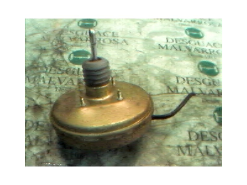 Recambio de servofreno para lancia lancia y elefantino referencia OEM IAM   