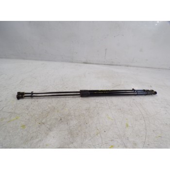 AMORTIGUADORES MALETERO / PORTON 95095594 