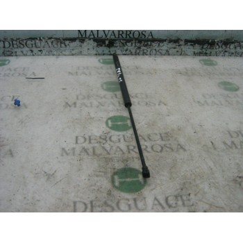 AMORTIGUADORES MALETERO / PORTON 