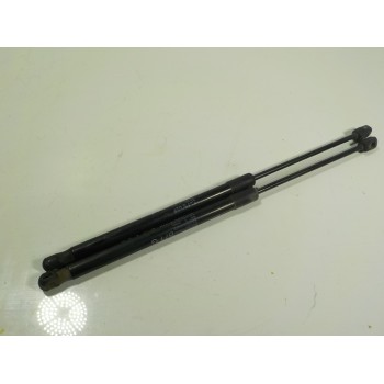 AMORTIGUADORES MALETERO / PORTON 9800717680 9800717780