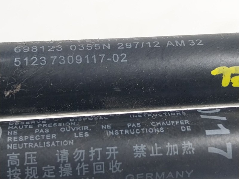 Recambio de amortiguador capot para bmw 5 (f10) 520 d referencia OEM IAM  512373091102 