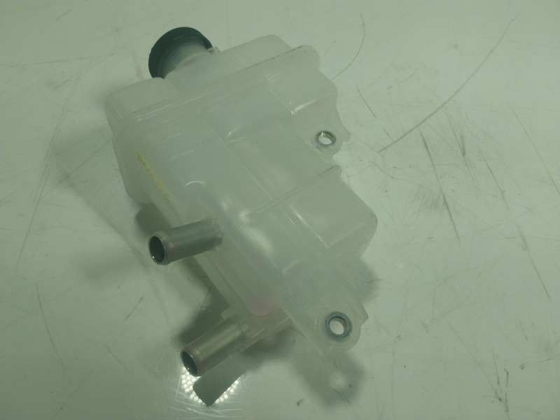 Recambio de deposito expansion para toyota rav 4 v van (_a5_, _h5_) 2.5 hybrid (axah52) referencia OEM IAM   