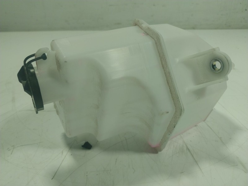Recambio de deposito expansion para toyota rav 4 v van (_a5_, _h5_) 2.5 hybrid (axah52) referencia OEM IAM   