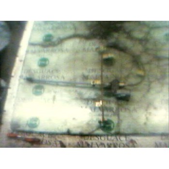 ELEVALUNAS TRASERO DERECHO 