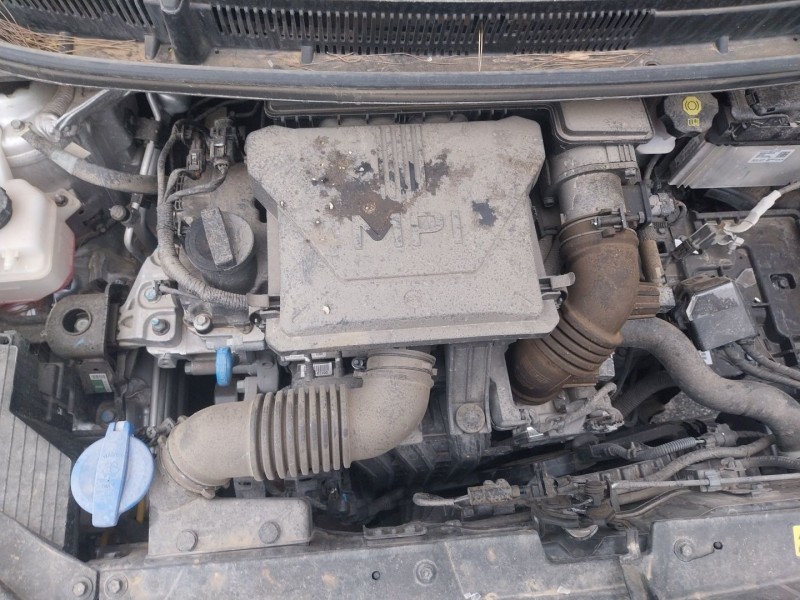 kia picanto iii (ja) del año 2023