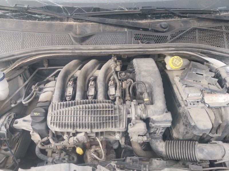 citroën c4 cactus del año 2017