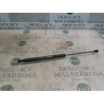 AMORTIGUADORES MALETERO / PORTON 