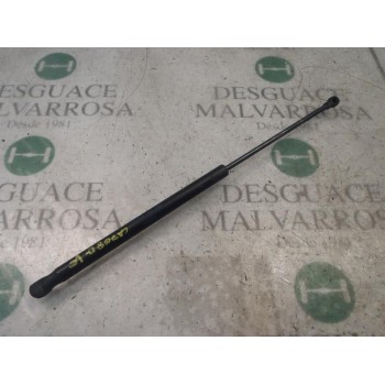 AMORTIGUADORES MALETERO / PORTON 