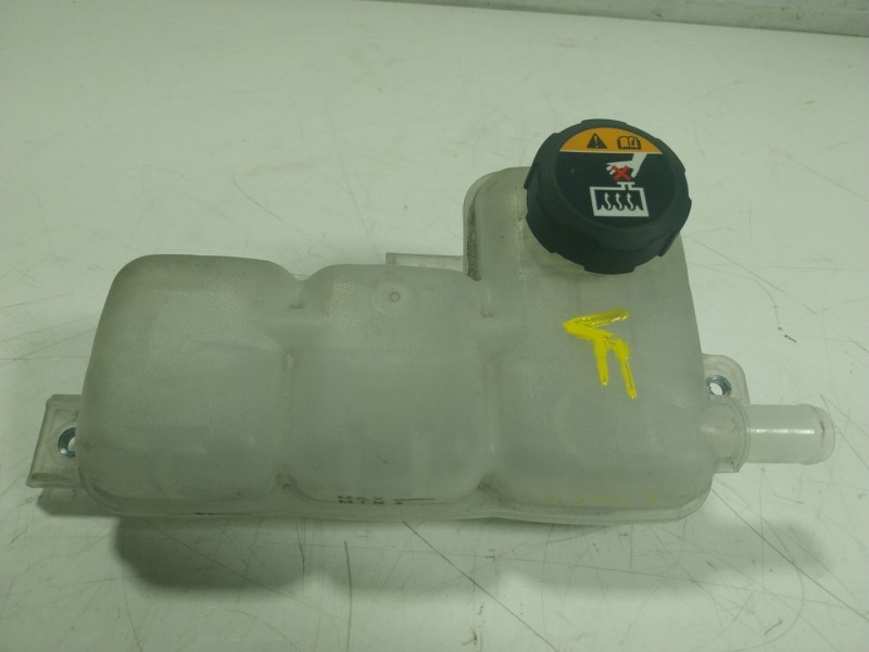 Recambio de deposito expansion para hyundai ioniq (ae) 1.6 gdi hybrid referencia OEM IAM   