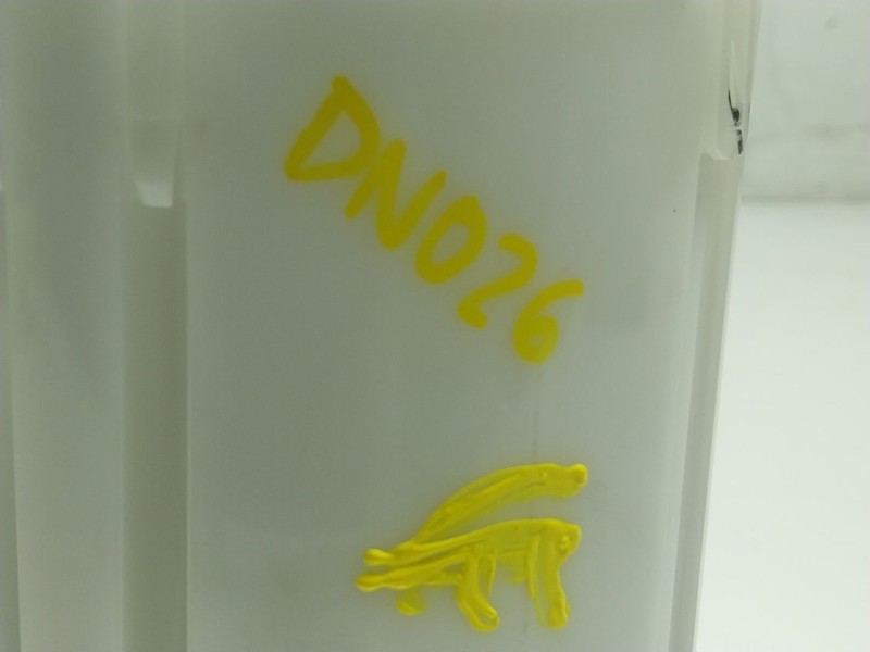 Recambio de aforador para kia picanto iii (ja) 1.0 referencia OEM IAM  31110G6100 