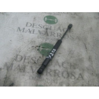 AMORTIGUADORES MALETERO / PORTON 