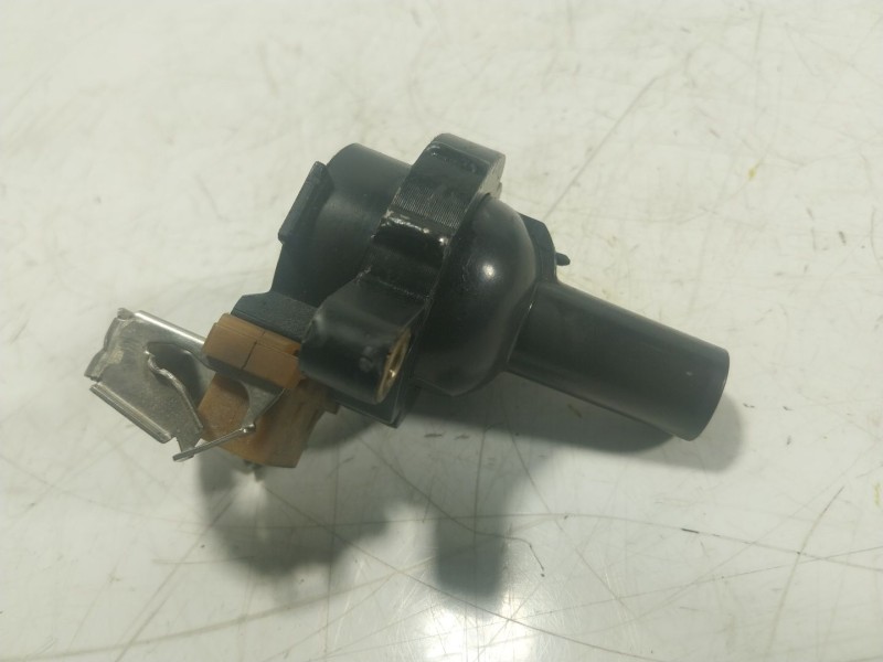 Recambio de bobina para bmw x5 (e53) 4.4 i referencia OEM IAM  1748017 