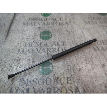 AMORTIGUADORES MALETERO / PORTON 