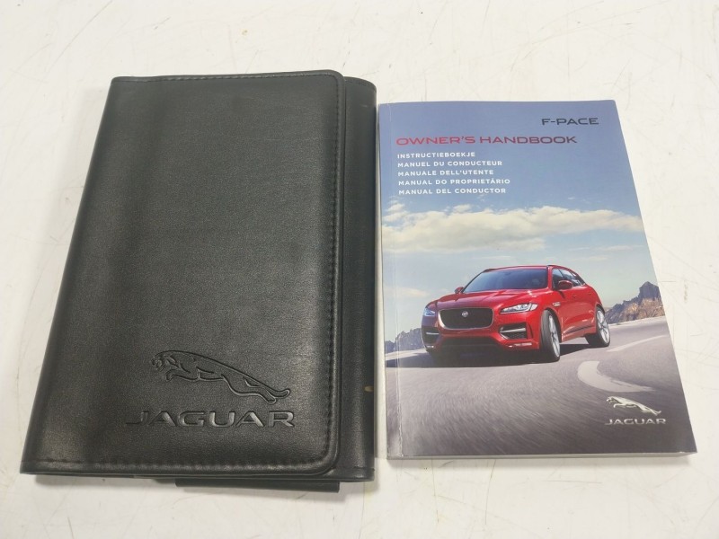 Recambio de moldura para jaguar f-pace (x761) 2.0 td4 awd referencia OEM IAM   