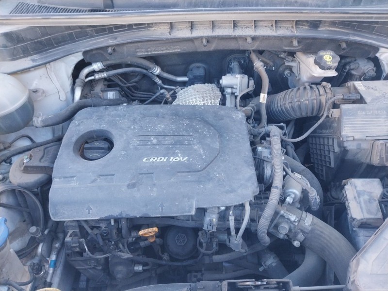 kia sportage iv (ql, qle) del año 2018