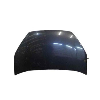 CAPOT DELANTERO 1569486 