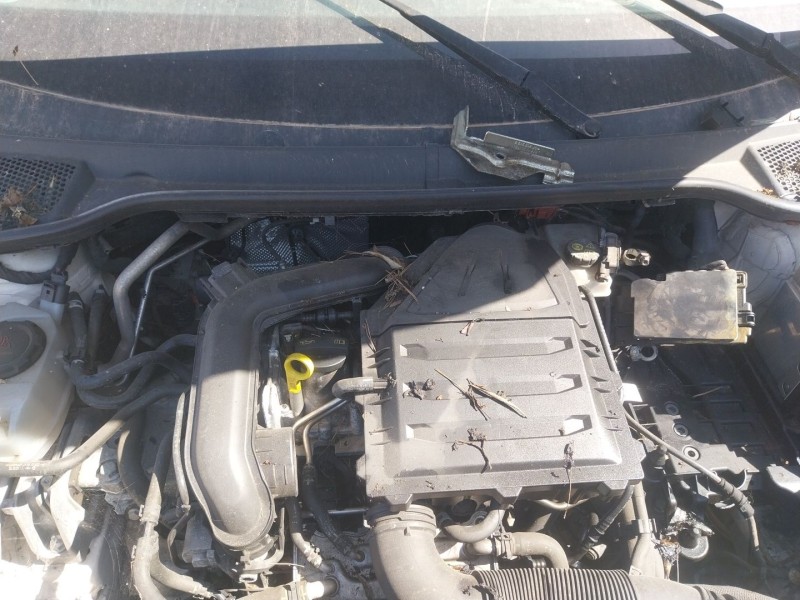 seat arona (kj7, kjp) del año 2018